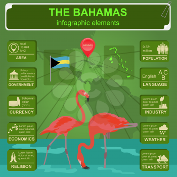 The Bahamas infographics, statistical data, sights. Vector illustration