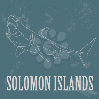 Solomon islands. Great white shark.  Retro styled image. Vector illustration