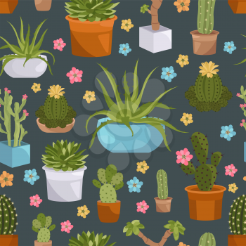Cactuses and succulents seamless pattern. Houseplants. Vector illustration