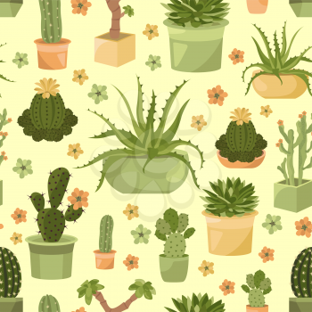 Cactuses and succulents seamless pattern. Houseplants. Vector illustration