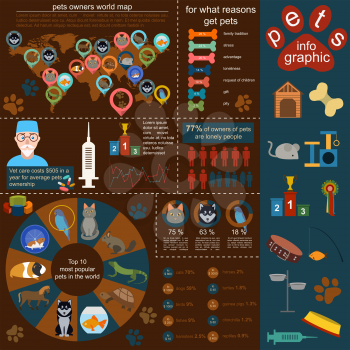 Domestic pets infographic elements, helthcare, vet. Vector illustration