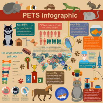 Domestic pets infographic elements, helthcare, vet. Vector illustration