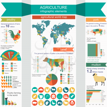 Agriculture, animal husbandry infographics, Vector illustrationstry info graphics. Vector illustration