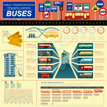 Public transportation infographics. Buses. Vector illustration