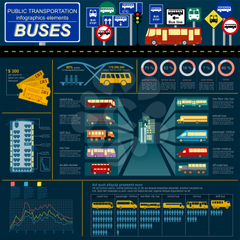 Public transportation infographics. Buses. Vector illustration