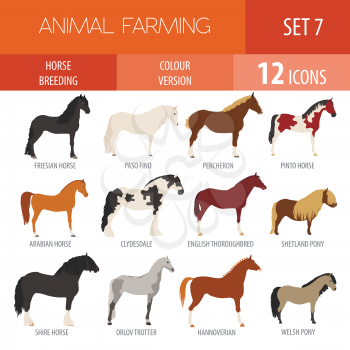 Horse breeding icon set. Farm animal. Flat design. Vector illustration