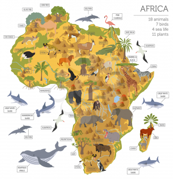 Flat Africa flora and fauna map constructor elements. Animals, birds and sea life isolated on white big set. Build your own geography infographics collection. Vector illustration
