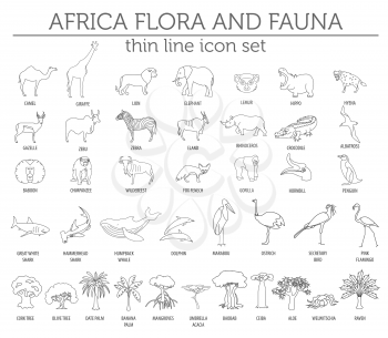 Thin line Africa flora and fauna elements. Animals, birds and sea life isolated on white big set. Build your own geography infographics collection. Vector illustration