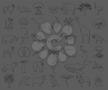 Thin line Africa flora and fauna elements. Animals, birds and sea life isolated on white big set. Build your own geography infographics collection. Vector illustration