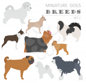 Miniature toy dog breeds collection isolated on white. Flat style. Vector illustration