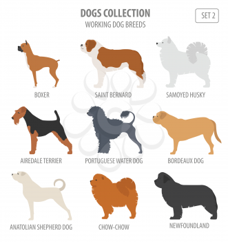 Working (watching) dog breeds collection isolated on white. Flat style. Vector illustration