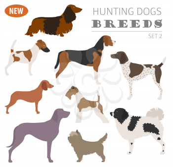 Hunting dog breeds set icon isolated on white . Flat style. Vector illustration