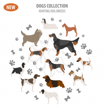 Hunting dog breeds set icon isolated on white . Flat style. Vector illustration