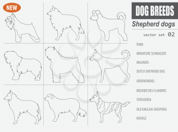 Shepherd dog breeds, sheepdogs set icon isolated on white. Outline, linear version. Vector illustration