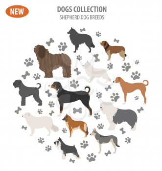Shepherd dog breeds, sheepdogs set icon isolated on white . Flat style. Vector illustration