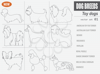 Miniature toy dog breeds, set icon isolated on white . Outline, linear version.  Vector illustration