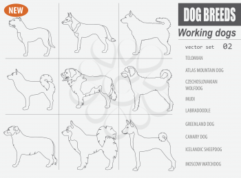 Working, watching dog breeds,  set icon isolated on white .Outline, linear version.  Vector illustration