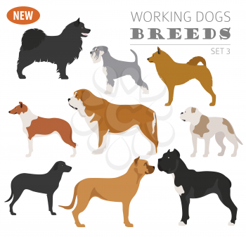 Working, watching dog breeds,  set icon isolated on white . Flat style. Vector illustration
