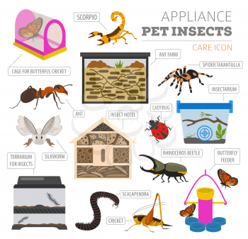 Pet appliance icon set flat style isolated on white. Insects care collection. Create own infographic about beetle, bug, butterfly, stick, mantis, spider, cricket etc. Vector illustration