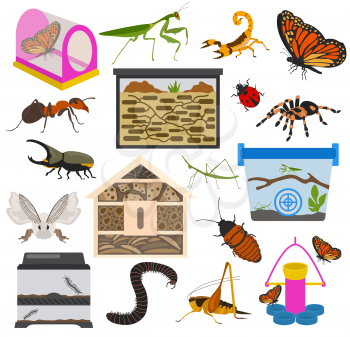 Pet appliance icon set flat style isolated on white. Insects care collection. Create own infographic about beetle, bug, butterfly, stick, mantis, spider, cricket etc. Vector illustration