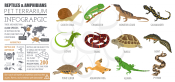 Pet reptiles and amphibians icon set flat style isolated on white. House keeping this animals collection. Create own infographic about pets. Vector illustration