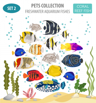 Freshwater aquarium fish breeds icon set flat style isolated on white. Coral reef. Create own infographic about pet. Vector illustration