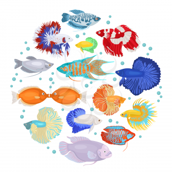 Freshwater aquarium fishes breeds icon set flat style isolated on white. Labyrinth fishes: betta, gourami. Create own infographic about pets. Vector illustration