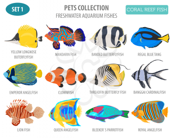 Freshwater aquarium fish breeds icon set flat style isolated on white. Coral reef. Create own infographic about pet. Vector illustration