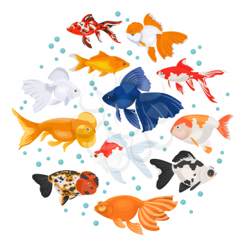 Freshwater aquarium fishes breeds icon set flat style isolated on white. Goldfish. Create own infographic about pets. Vector illustration