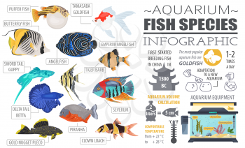Freshwater aquarium fish breeds infographic, icon set flat style isolated on white. Vector illustration