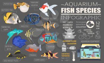 Freshwater aquarium fish breeds infographic, icon set flat style isolated on white. Vector illustration