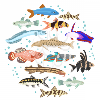 Freshwater aquarium fishes breeds icon set flat style isolated on white. Loaches, gobies, killifishes. Create own infographic about pets. Vector illustration