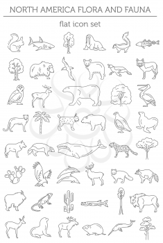 Flat North America flora and fauna  elements. Animals, birds and sea life simple line icon set. Vector illustration