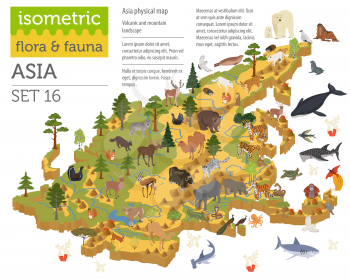Isometric 3d Asian flora and fauna map constructor elements. Animals, birds and sea life isolated on white big set. Build your own geography infographics collection. Vector illustration
