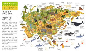 Flat Asian flora and fauna map constructor elements. Animals, birds and sea life isolated on white big set. Build your own geography infographics collection. Vector illustration