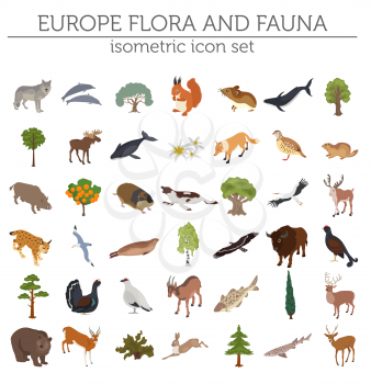 Isometric 3d European flora and fauna map constructor elements. Animals, birds and sea life isolated on white big set. Build your own geography infographics collection. Vector illustration
