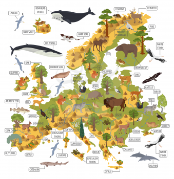 Flat European flora and fauna map constructor elements. Animals, birds and sea life isolated on white big set. Build your own geography infographics collection. Vector illustration
