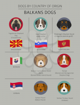 Dogs by country of origin. Balkans dog breeds: Macedonian, Bosnian, Montenegrin, Serbian, Slovenian. Infographic template. Vector illustration