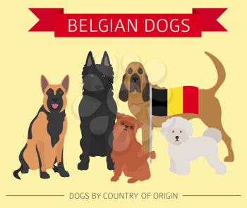 Dogs by country of origin. Belgium dog breeds. Infographic template. Vector illustration