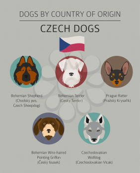 Dogs by country of origin. Czech dog breeds. Infographic template. Vector illustration