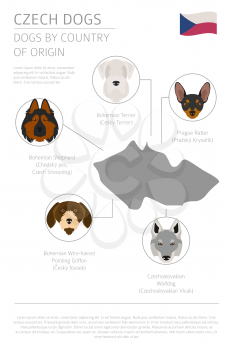 Dogs by country of origin. Czech dog breeds. Infographic template. Vector illustration