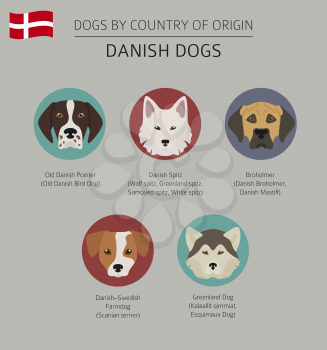 Dogs by country of origin. Danish dog breeds. Infographic template. Vector illustration