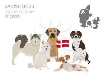 Dogs by country of origin. Danish dog breeds. Infographic template. Vector illustration
