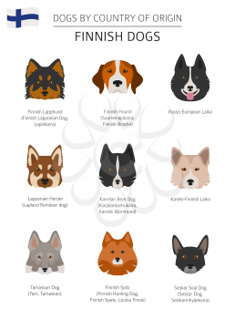 Dogs by country of origin. Finnish dog breeds. Infographic template. Vector illustration