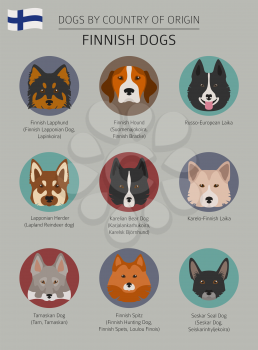 Dogs by country of origin. Finnish dog breeds. Infographic template. Vector illustration