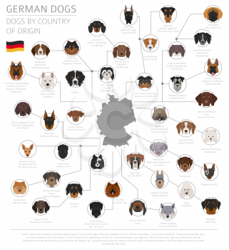 Dogs by country of origin. German dog breeds. Infographic template. Vector illustration