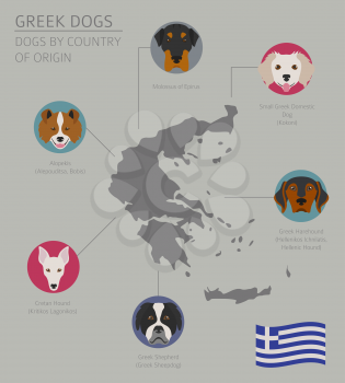 Dogs by country of origin. Greek dog breeds. Infographic template. Vector illustration