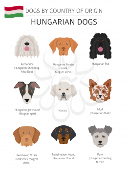 Dogs by country of origin. Hungarian dog breeds. Infographic template. Vector illustration