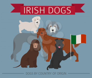 Dogs by country of origin. Irish dog breeds. Infographic template. Vector illustration