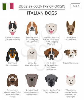 Dogs by country of origin. Italian dog breeds. Infographic template. Vector illustration